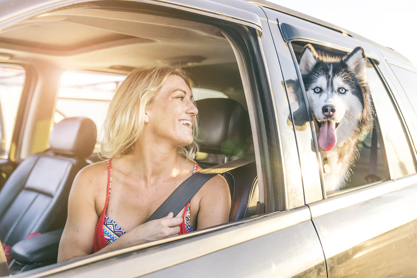 woman in car with dog