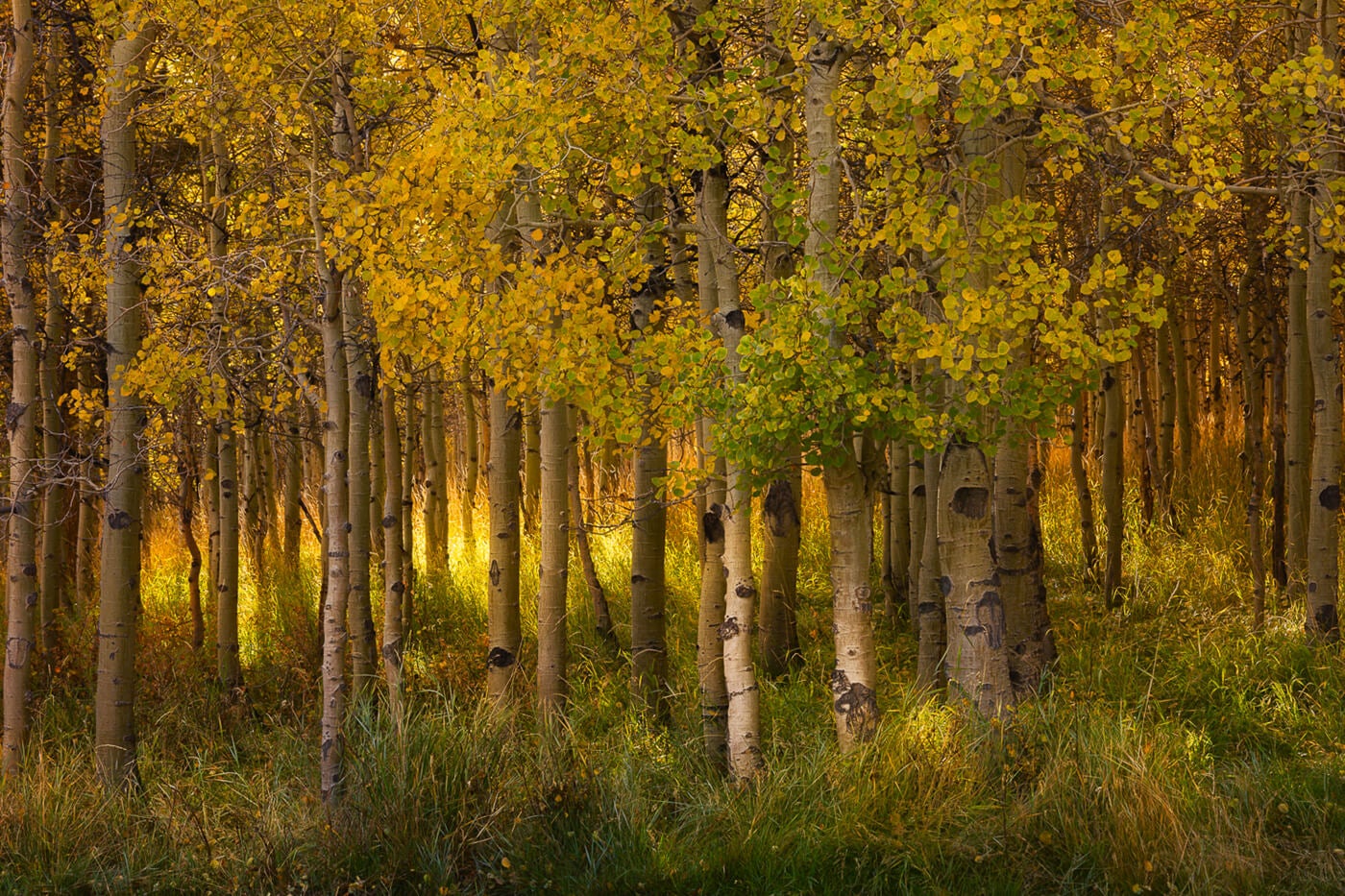 Why We Print: Landscape Photographer Chris Ewen Crosby