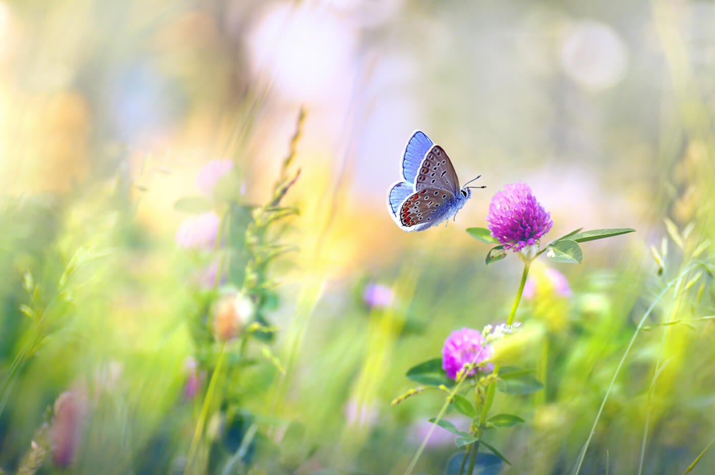 5 Ways to Welcome Summer in Photos