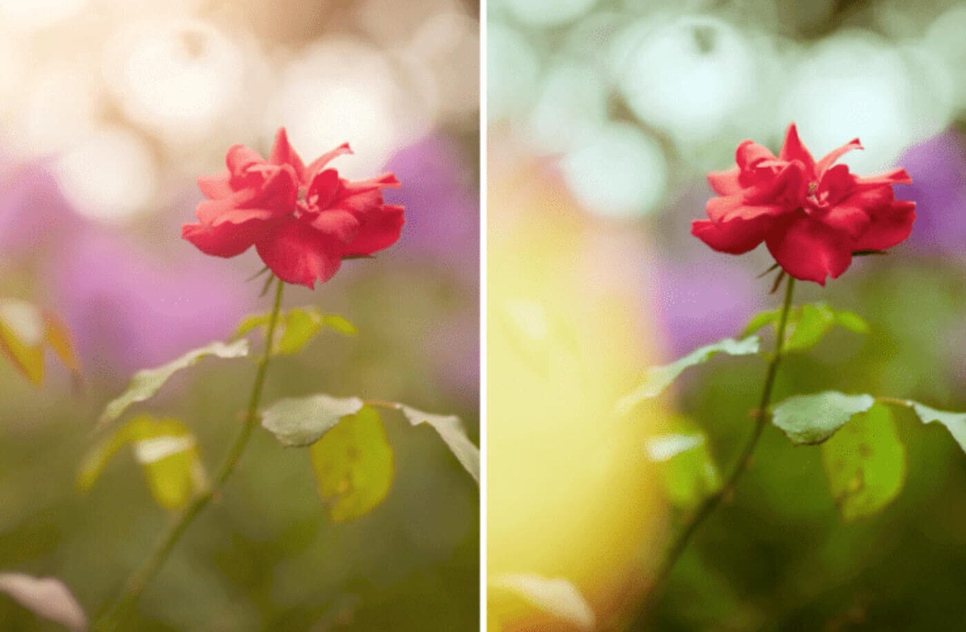 Photo Hacks that Won’t Break the Bank